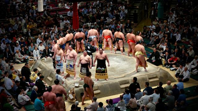 Sumo wrestlers