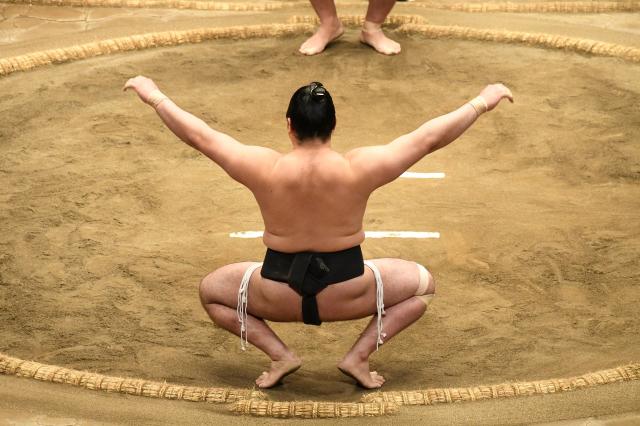 Sumo wrestler 