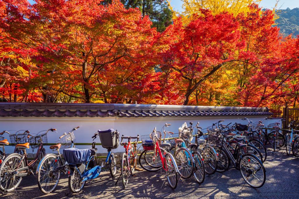 Bicycles in Kyoto