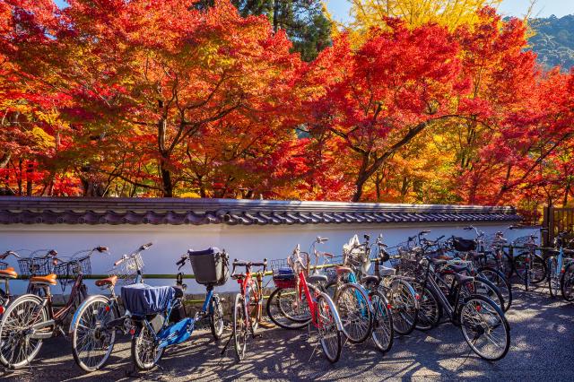 Bicycles in Kyoto