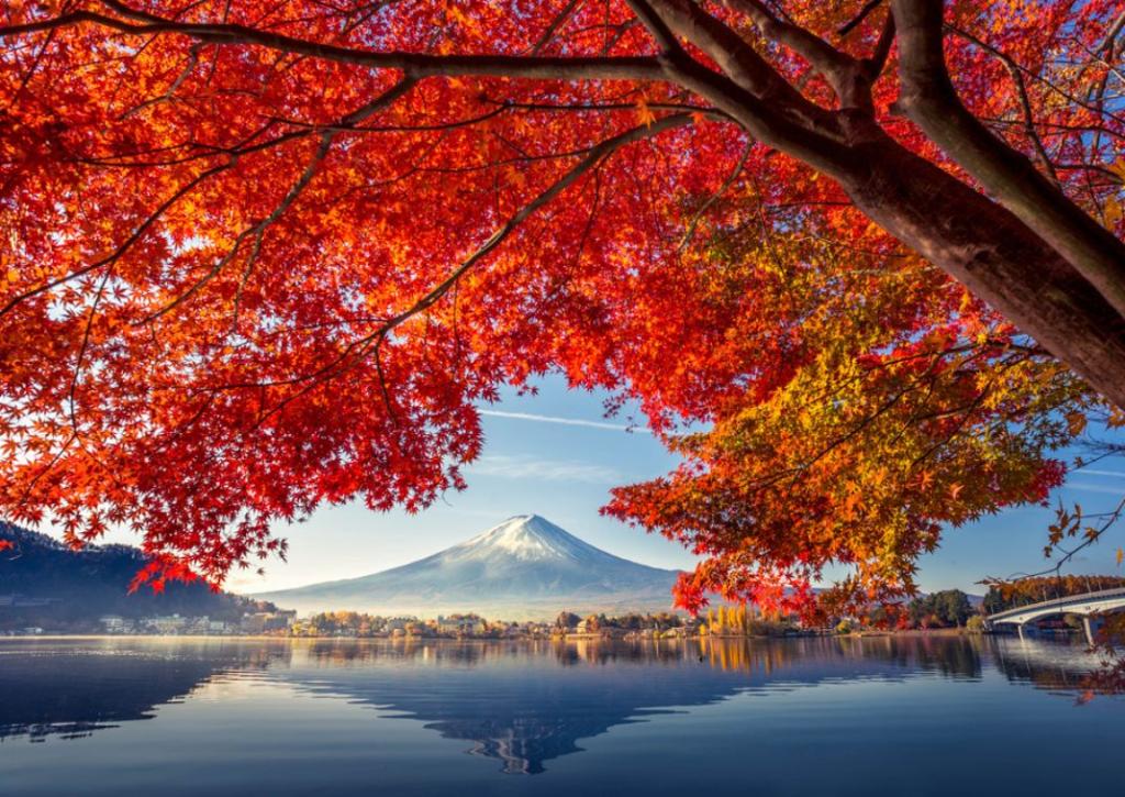Mount Fuji with autumn foliage viewed over lake Kawaguchi