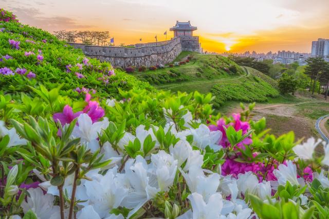 Hwaseong Fortress