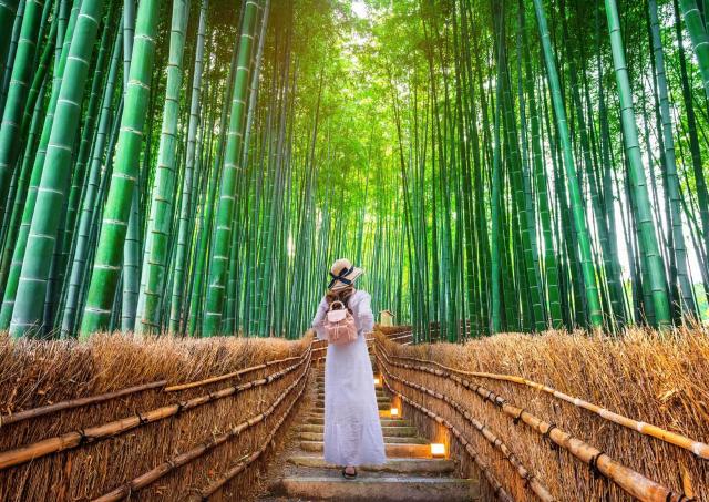 Lady walking through arashiyama bamboo forest, Kyoto, Japan