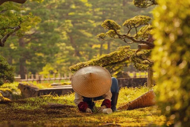 Gardener in Kenrokuen Garden