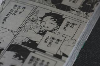 Manga book