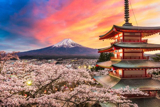 Mt Fuji in cherry blossom season at sunset, Japan