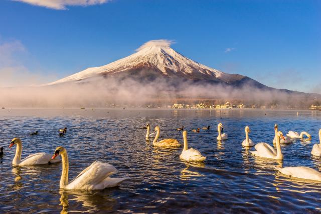 Mount Fuji as seen from Lake Yamanaka
