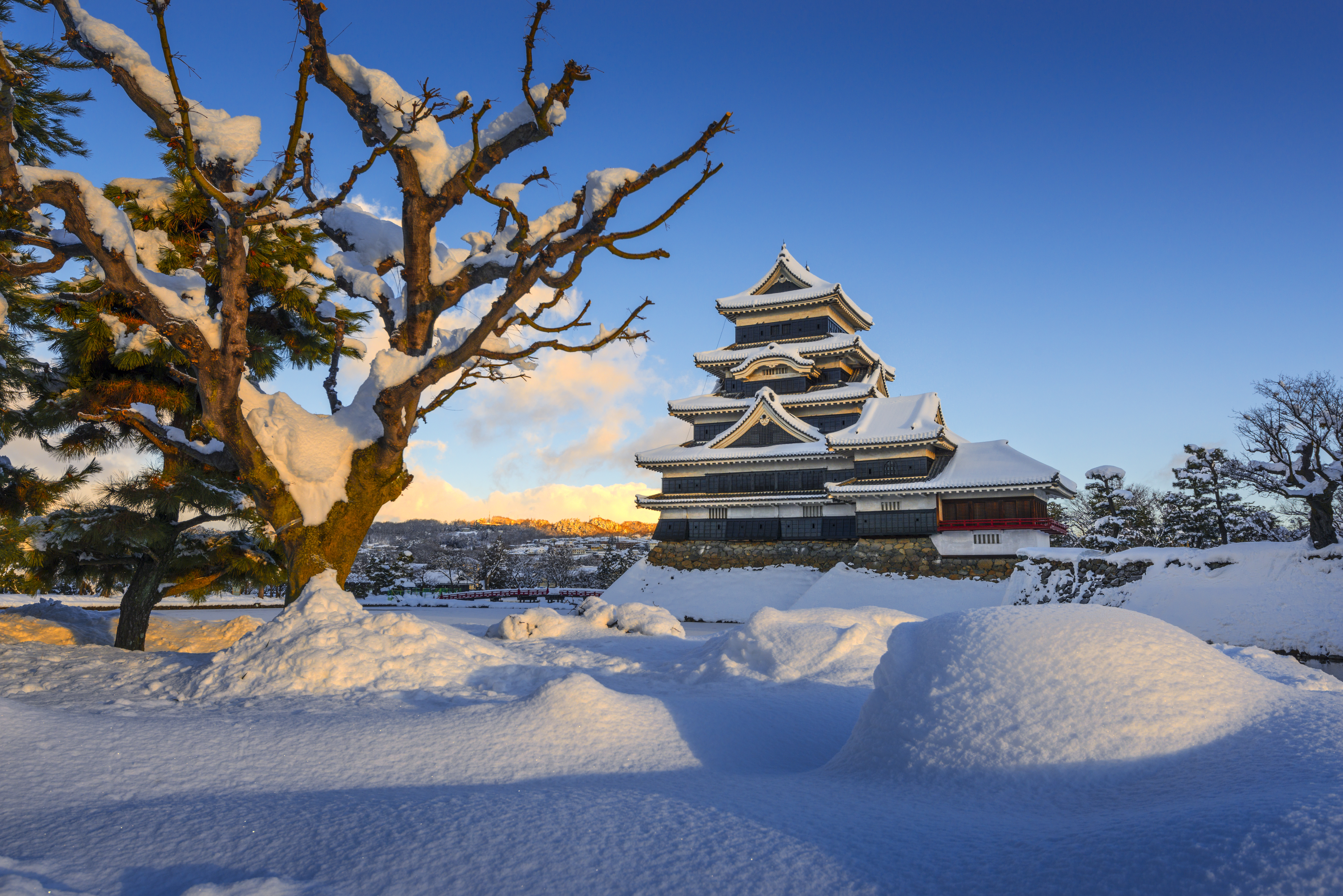 Matsumoto Castle during winter