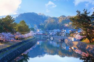 Uji bridge, Kyoto