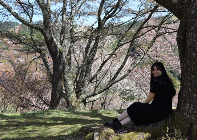 Mount Yoshino during the cherry blossom season