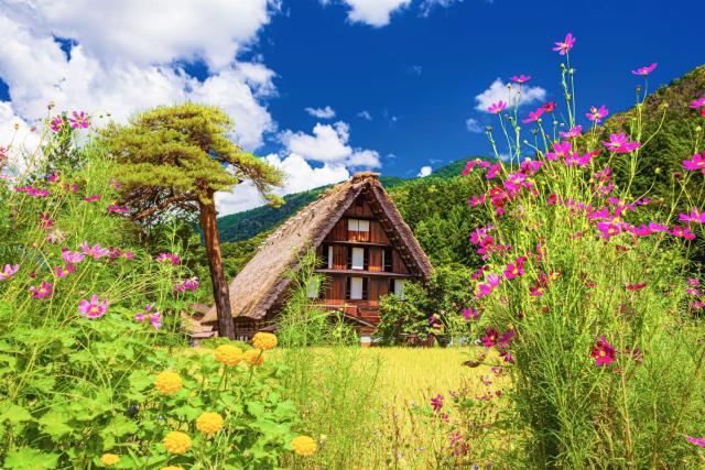 Traditional Farmhouses in summer, Shirakawago