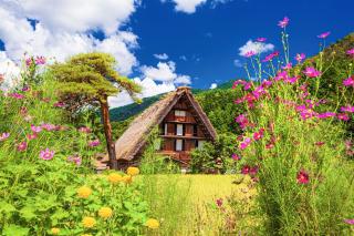 Traditional Farmhouses in summer, Shirakawago