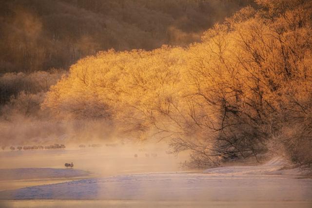 Winter morning scene in Hokkaido