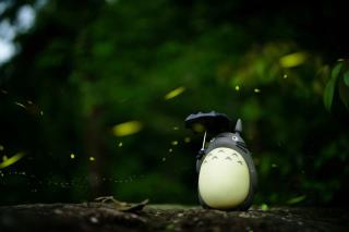 Totoro, a Ghibli character