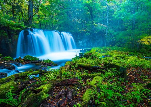 Japanese waterfall in a forest with mist