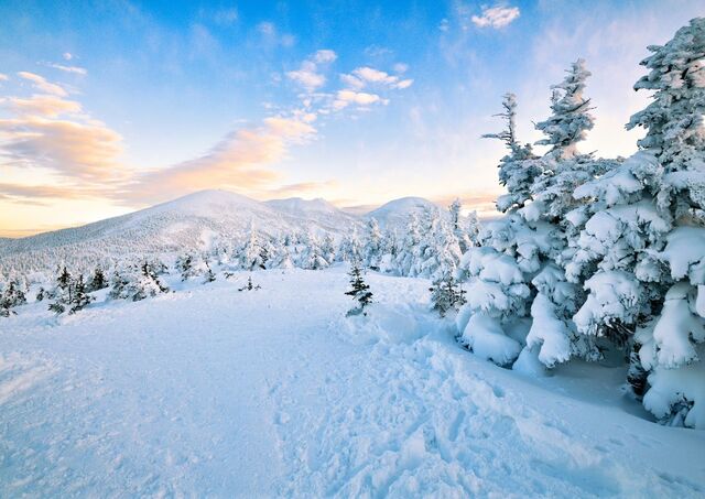 Winter scenery on a mountain in Aomori, Japan