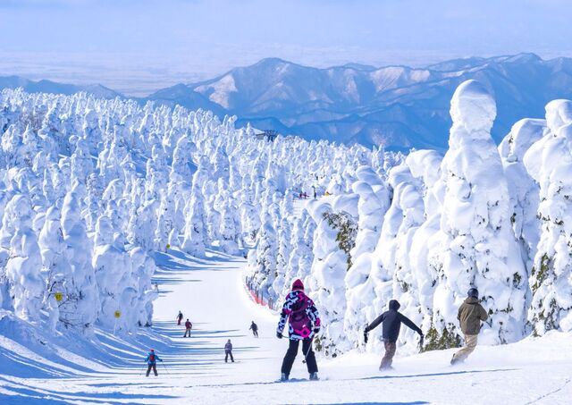 People skiing in Japan
