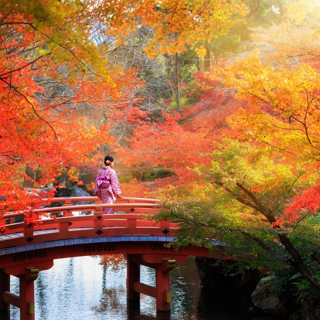 Wooden bridge in the autumn park, Japan autumn season, Kyoto Japan