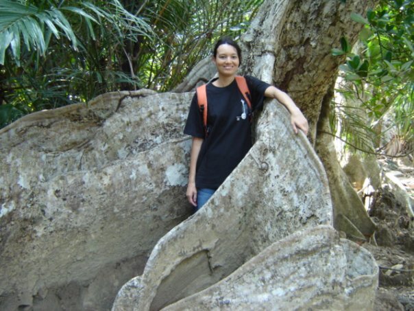 Nice banyan tree at Iriomote
