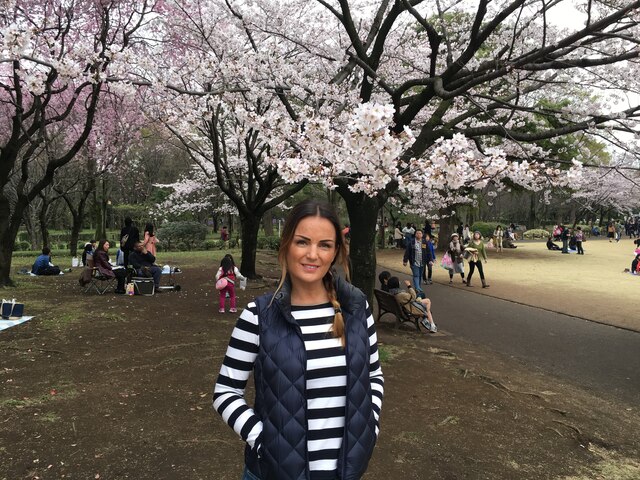 Sakura watching in Tokyo