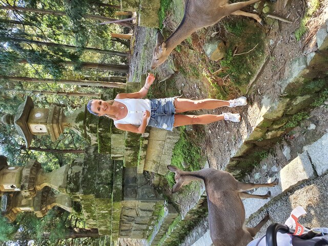 In Nara Park