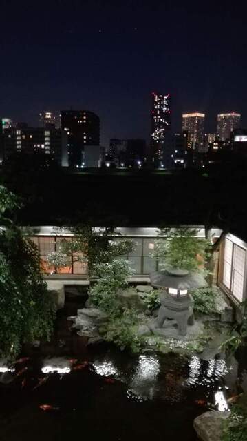 View from Tsukiji  Jisaku restaurant in Tokyo