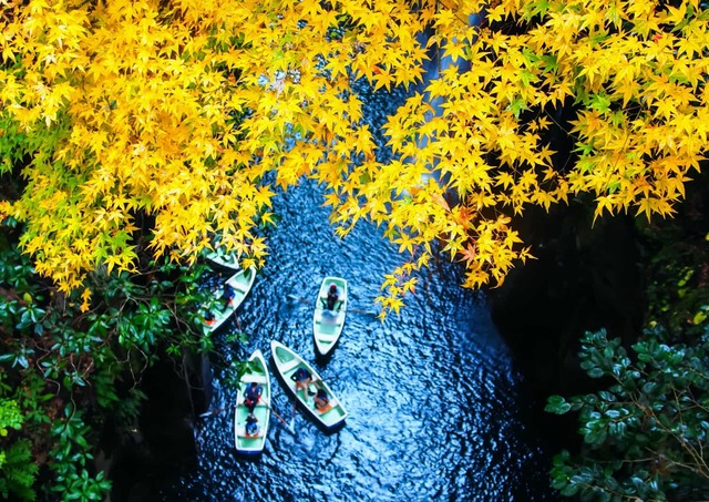 Row boating in Takachiho Gorge