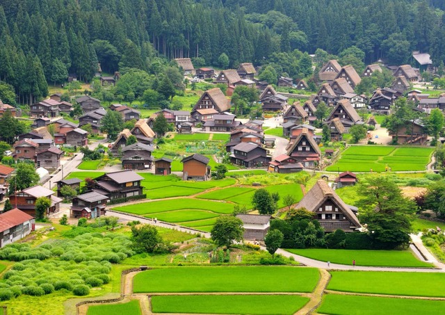 Ogimachi Village in summer
