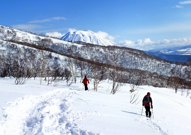 Off-piste skiing in Niseko
