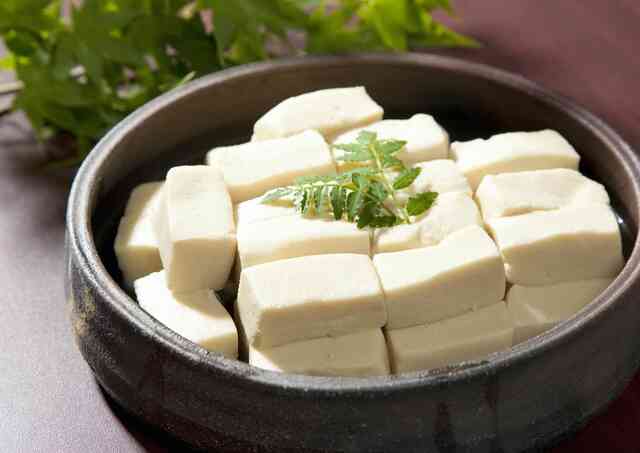 Koya tofu, a traditional regional product