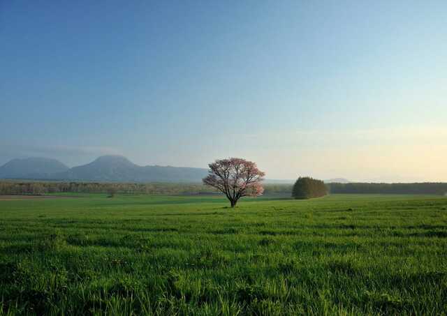 Bihoro pass pasture