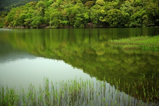 Hirosawa Pond 