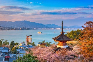 Hiroshima and Miyajima in a Day