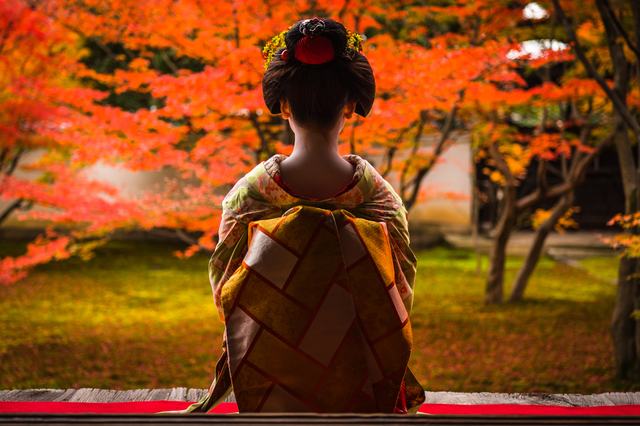 Maiko Dinner, Kyoto