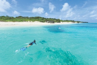 Snorkelling in Okinawa
