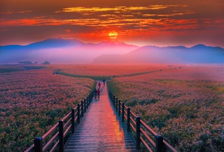 Suncheon Bay, Yeosu