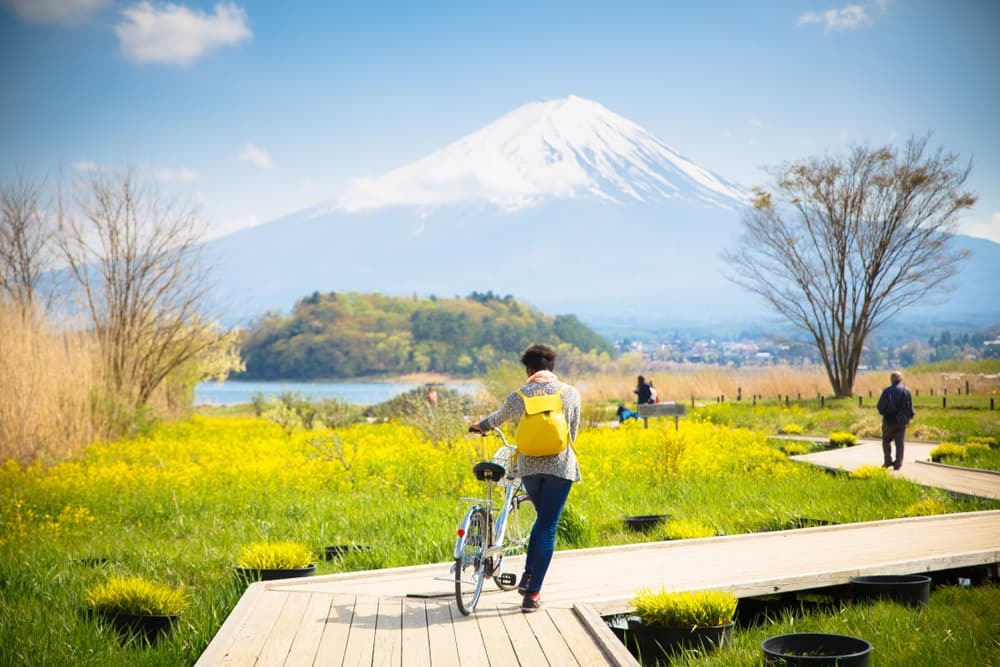 Mt. fuji with snow and flower garden along the wooden bridge at Kawaguchiko lake in Japan.