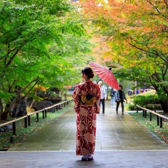 Japanese woman in a red kimono holding an umbrella, walking leisurely through a public park with autumn leaves in Japan