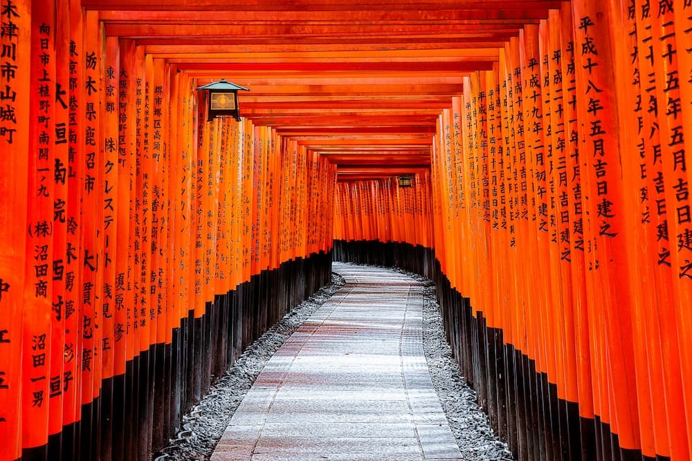 Omotenashi serviceFushimi Inari Shrine in Kyoto, Japan, with thousands of orange vermilion torii gates