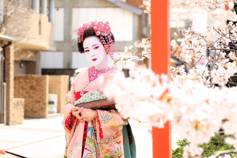 Maiko on sakura road with pink umbrella