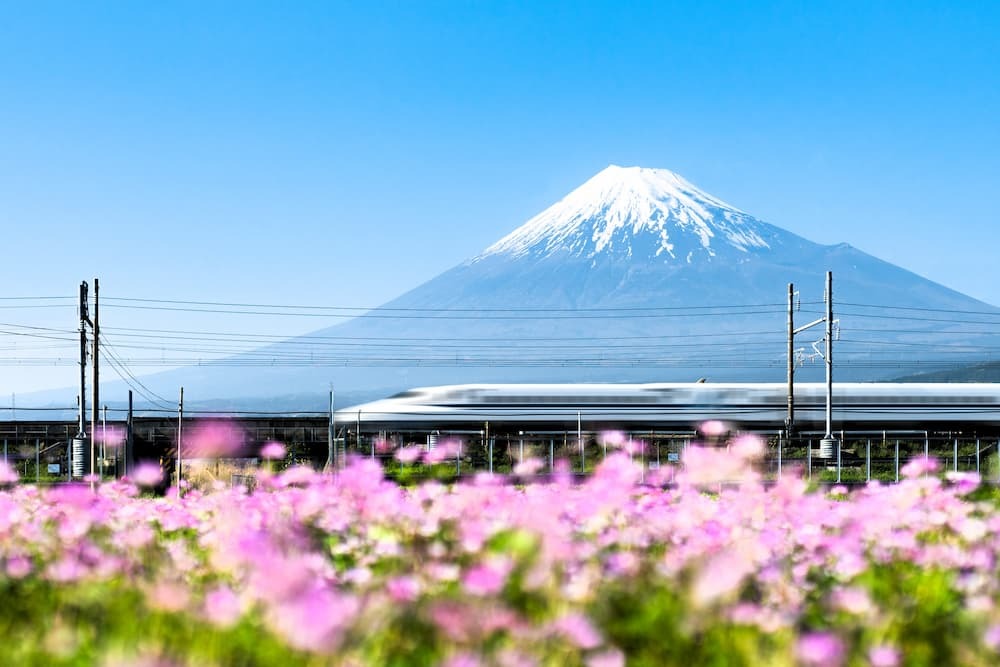 Shinkansen bullet train passing by Mt Fuji, Yoshiwara, Shizuoka prefecture, Japan