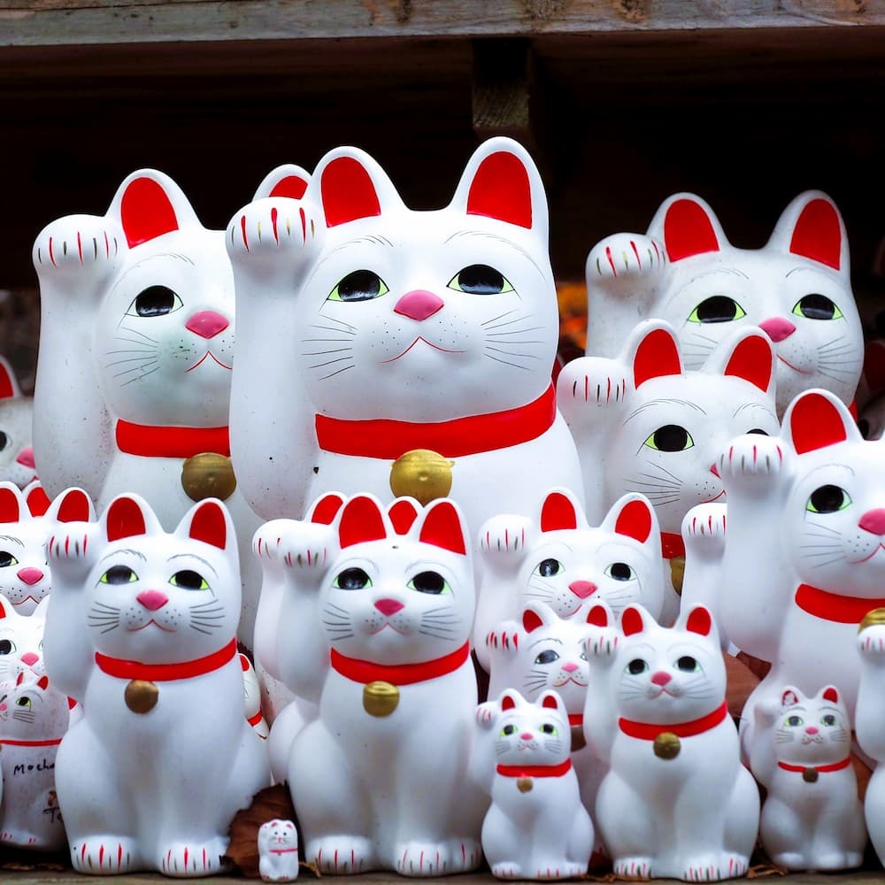 Maneki-neko lucky cats at Goutokuji Shrine, Tokyo, Japan