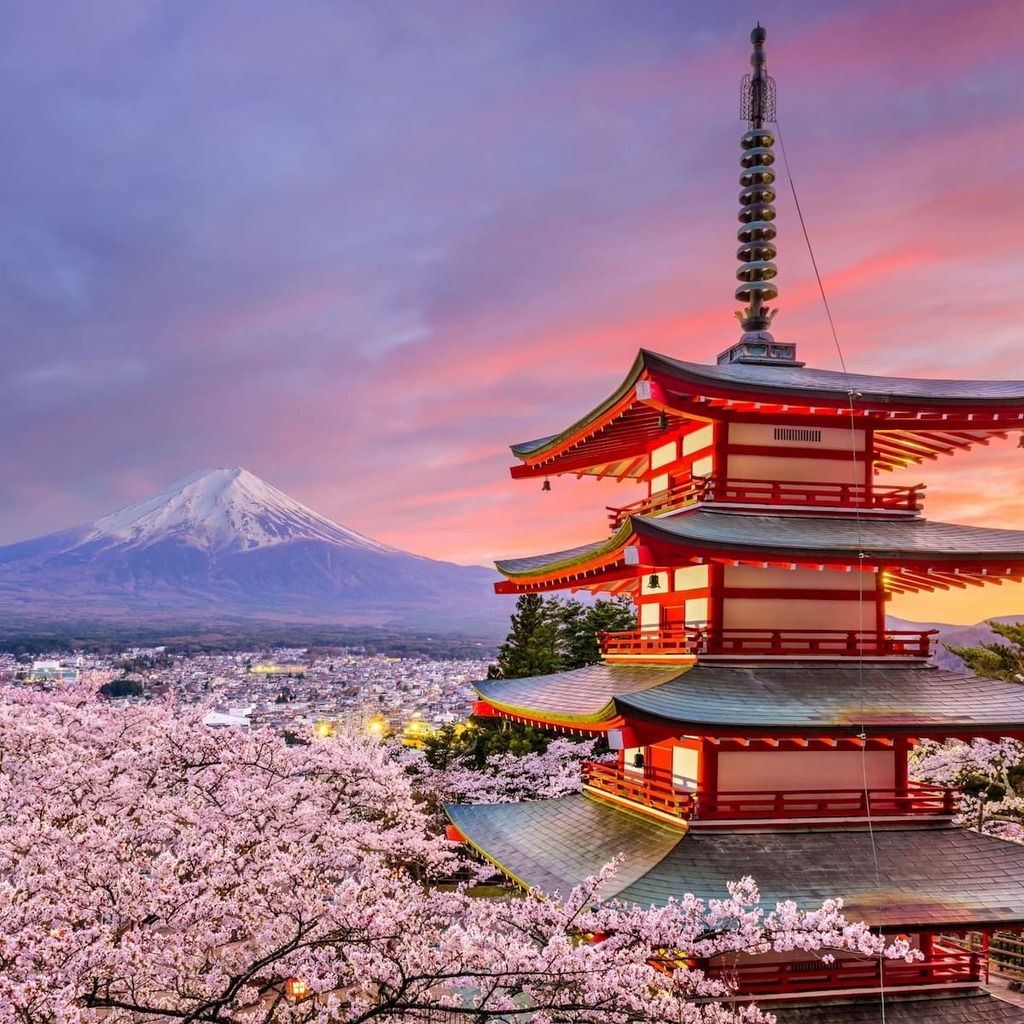 Chureito Pagoda during sakura season
