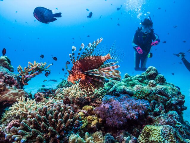 Snorkelling 