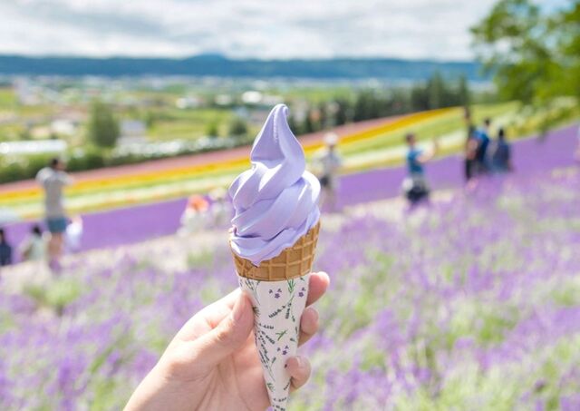 Hokkaido ice cream at Furano's flower fields 