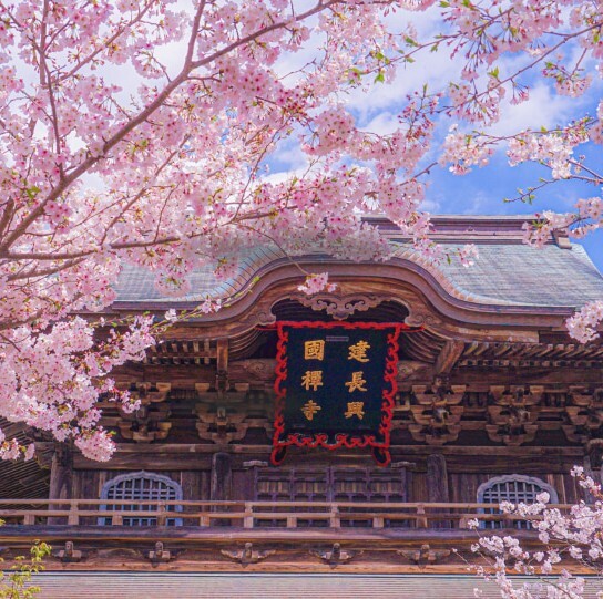 Sakura Webinar promo