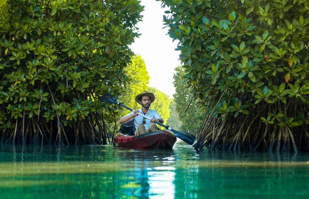 Kayaking in mangrove 