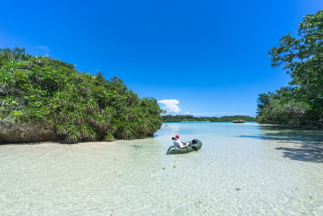 Mangrove meets sea, Okinawa 