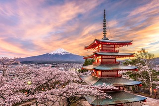 Chureito Pagoda with Mt. Fuji in spring 