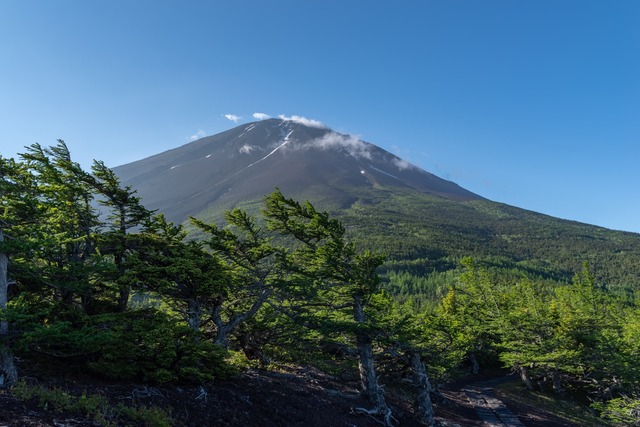 View of Mt. Fuji from the 5th Station 